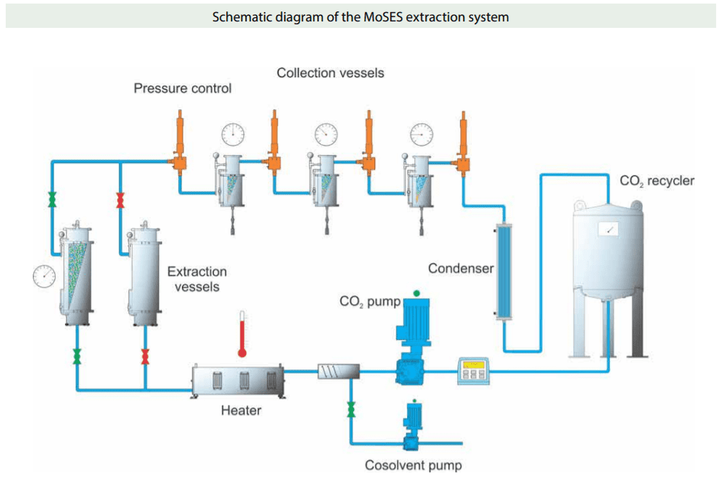 schematic diagram of the MoSES extraction system